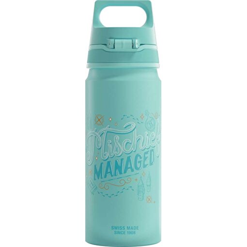 Sigg 6036.20 WMB Harry Potter 0,6L Matara, Su Yeşili. ürün görseli