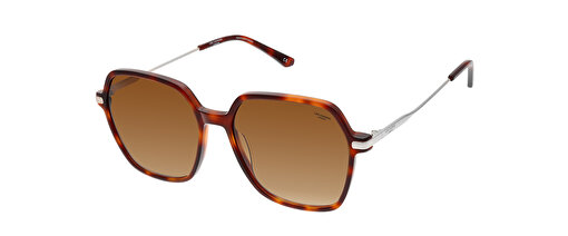 Lee Cooper LC1467.C2 Bayan Güneş Gözlüğü resmi