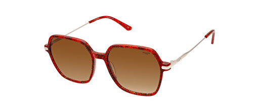 Lee Cooper LC1467.C3 Bayan Güneş Gözlüğü resmi