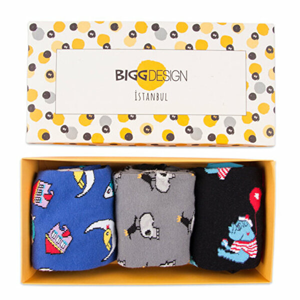 BiggDesign Kadın Tasarım Çorap Seti. ürün görseli