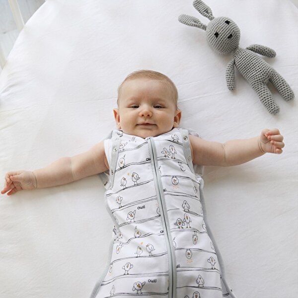 Picture of Owli 2-in-1 Swaddle 3-6M, Early Birds