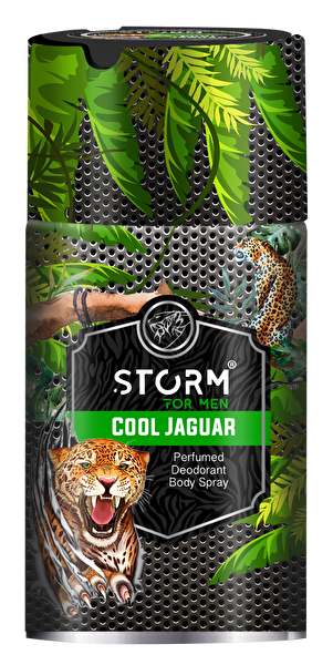 Picture of Storm Deo Spray For Men Cool Jaguar 250 Ml 