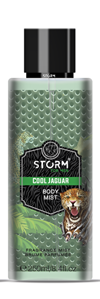Picture of Storm Men Cool Jaguar Body Mist 250 Ml