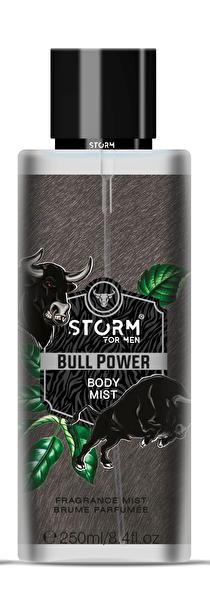 Picture of Storm Men Bull Power Body Mist 250 Ml