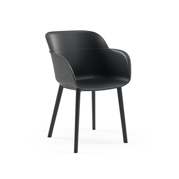 Picture of Tilia Shell-P Armchair Set (2 Pieces)