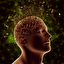 image/png